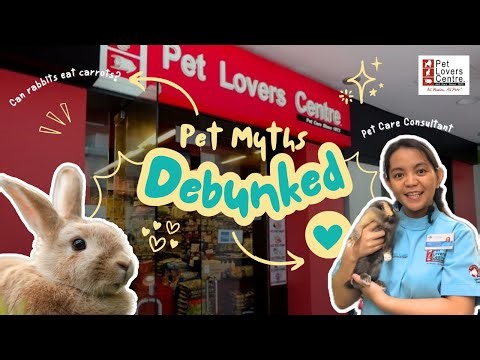 Pet Myths Debunked! Episode 4: Beyond The Bunny — Featuring Pet Care Consultant