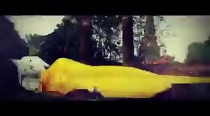 9.8K views · 936 reactions | The Biggest change of Miss Grand Thailand 2016 77 Provinces 77 Contestants #change #missgrandThsiland2016 #beautypageant #provinces #contestants | Miss Grand International | Facebook