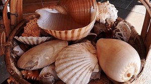 Puerto Calero Lanzarote Feb 15 2025 Stock Footage Video (100% Royalty-free) 3730677123 | Shutterstock