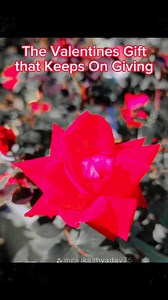 Growers Outlet-Willis, Texas on Reels | Facebook