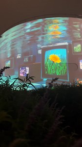 Your Guide to the 2025 Shanghai Light Festival (Mostly FREE!) 🌉 3000㎡ Dome AI Tour Guide Swing Show! Free Check-in Guide Here! ✨ Dates: Sept 19 - Oct 8 ✨ Highlights: Opening ceremony venue! Naked-eye 3D dome AI tour guide laser cold fireworks mechanical butterfly swings ✨ Cost: Completely free (only 1 venue requires reservation) ✨ Recommended transport: Metro Line 11 (Longyao Road / Yunjin Road Station) 🎪【Main Venue Activities】 1️⃣ West Bund Dome Art Center (Indoor｜Reservation required) 📅: Se