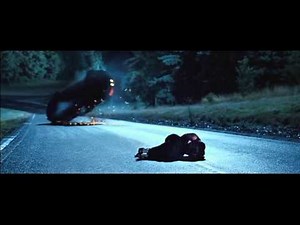 Casino Royale Aston Martin Rollover