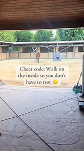 code_ walk on the inside do the hotwalker so that you don’t have to trot #horseproblems#smarthorse#arab#arabian#bayhorse#western#cowgirllife#ranchlife#ranchy#ounchy#fy#fyp#viral#viralt | Nature of animal