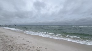We are flying yellow flags in Orange Beach today - Friday, September 6th. Yellow Flags represent Medium Hazard with Moderate Surf and Currents. Please swim with caution. Morning view: Cotton Bayou Beach. • Gulf temperature: 86 degrees • Surf conditions: Choppy with waves around 1 to 2 feet and west running current. • Rip current forecast: Moderate Risk • Daily weather: Cloudy with showers and thunderstorms likely. The high temperature is around 80. • Wind: North East winds around 10 to 15 mph. •
