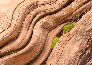 Bitcoin's Taproot Privacy Tech Is Ready – But There's a Catch