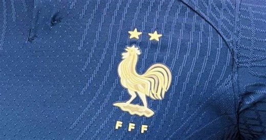 Otro escándalo del futbol francés, destituyen entrenadora de Selección Femenil