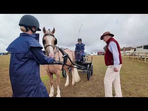 British Carriagedriving - An Introduction to Dressage