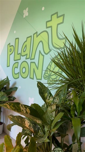 PlantCon NYC 2025 🌿✨FUN Things to Do in New York City The BIGGEST plant convention in New York City a two-day celebration of greenery, rare plants, workshops, and community vibes! 🌱🌸 Whether you’re a plant parent, collector, or just curious, this event brings together vendors, creators, and plant lovers from all over the world. 📍 Location: Pier 17, Level 4 – South Street Seaport, Manhattan 🎟️ Tickets: Starting at $35 (GA • Single-Day Pass $49) 📅 Dates & Time: Saturday, August 30 (11 AM – 9