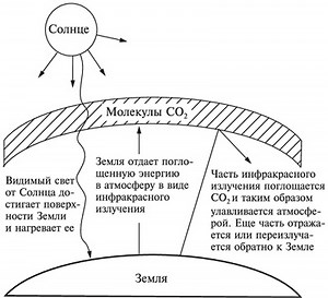 Такое парниковый эффект чем он опасен для земли