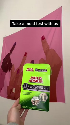 Mold Armor Test Kit: How to Use and Interpret Results
