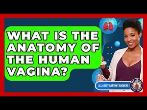 What Is The Anatomy Of The Human Vagina? - All About Anatomy Answers