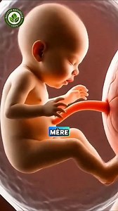 232K views · 92K reactions | On parle souvent du rôle de la mère pendant la grossesse… mais la biologie raconte une histoire beaucoup plus nuancée. Dès la fécondation, certains mécanismes essentiels au développement du bébé sont influencés par les gènes du père. Une réalité scientifique qui surprend encore.  Qu’en penses-tu ? Le débat est ouvert. #grossesse #biologie #science #maman #papa | recettenaturelle | Facebook