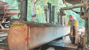15K views · 133 reactions | Proses Gergaji Batang kayu mahoni daun lebar | Penggrajian kayu | Facebook