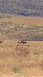 On an ALL NEW SEASON of The Northwest Outdoorsmen, we're starting off...