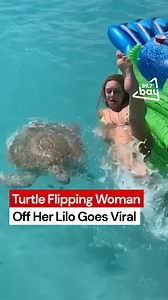 That turtle was pissed 😬 As this woman was minding her own business on a beach lilo, this savage turtle randomly decided she didn't want plastic in the ocean and flipped the woman off 🐢😂 Tap for sound 🔊 | 89.7 Bay