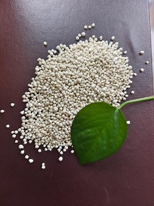 [Hot Item] Magnesium Sulphate Monohydrate Kieserite Total MGO26%, Water Soluble MGO 20%