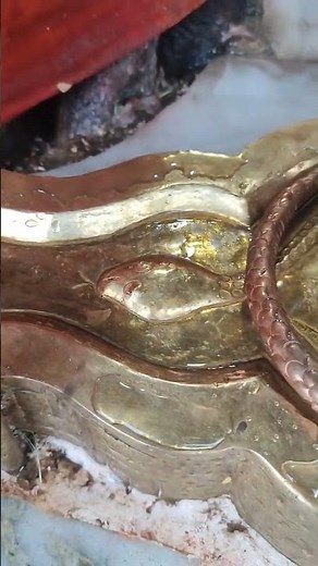 घर के शिवलिंग में और शिववाले के शिवलिंग में क्या अंतर है। पूजनीय प्रदीप मिश्रा जी yt shorts 🙏