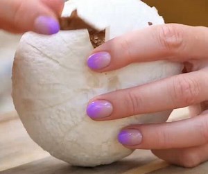 78K views · 159 reactions | Sabor sem limites! Receitas veganas que você deve experimentar! | Ideias Incríveis | Facebook