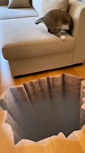 Hilarious Cat Falls for Fake Hole Floor Trick! Watch Her Panic & Flip Out | Optical Illusion Prank #shorts #justice #catreaction #prank #AI | Chunky Animal's