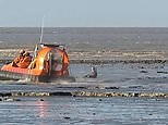 Seven-year-old is rescued after getting stuck in mud on a beach