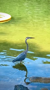 23 reactions | Welcome to our secluded, adult-only spa resort hideaway.  Start planning your next wellness getaway when visiting https://bit.ly/2DvFTr4 | Lake Austin Spa Resort | Facebook