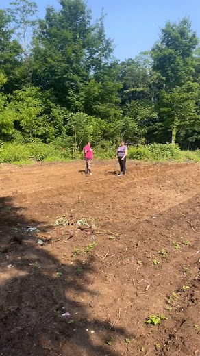 Plants #freshvegitables🍆🥕🍅🌶️🥦🥒 fun#motherhood#веселые#girls | Maria Petrenko