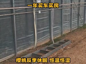 想实现反季节两年三岔你一定要看完这条视频