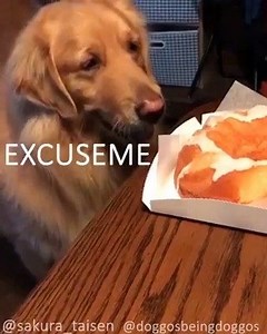 8.9K views · 207 reactions | Bamboozled Again on Reels | Facebook