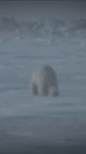 ️ Adventure awaits at your fingertips!  Experience the thrill of...