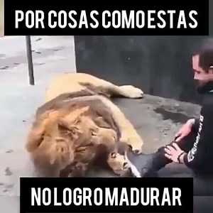 13K views · 429 reactions |  | Grand HD | Facebook