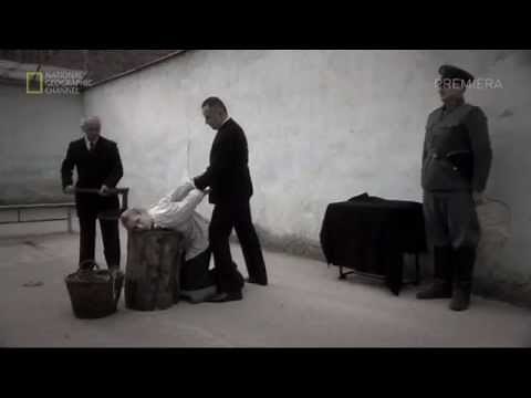 SENSACJE XX WIEKU - Krew, miłość, zdrada