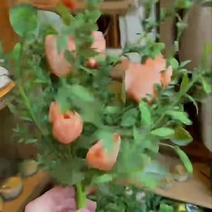 Love these tulip bundles! Tulip bundles $15.99 8” Crock $32.99 | The Old Candle Barn Inc