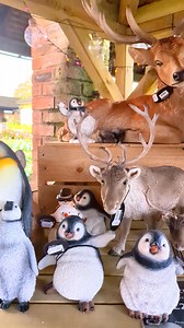 Hollybush Garden Centre & Aquaria on Reels | Facebook