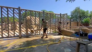 ELEPHANT BUSINESS INC . Barcelona Zoo May 16, 2022. Evaluation visit to further establish safe access to a Geriatric group of African female elephants aged 51, 49 & 48. In the video you see newly introduced trainee Gina take 49 year old Suzie through a series of basic behaviors that allow us to offer Suzie a positively reinforced welfare program. Each elephant is afforded a high standard of welfare with safely introduced behaviors from behind a specially designed protected barrier. Safety has a 