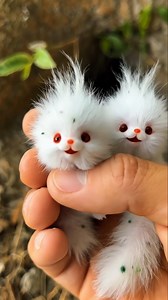 517K views · 24K reactions | Too Cute to Scroll  #Cute #Animals #Fantasy #Adorable #reelsvideoシ #reelsviralシ #fbviralpost2025シ #fypシ #fbviral 100% AI video for fun & laughs! Every scene is digitally created — no real animals, babies, or people.  Enjoy and share!  No reuploads. | Fazlull Visuals | Facebook