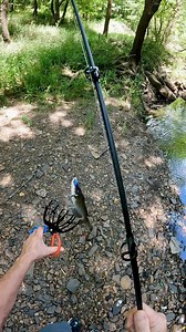 The fish gripper is the greatest thing ever invented for fishing! #fishing #fishingtrip #fishgripper #fishinglife #blondeokie | Blonde Okie