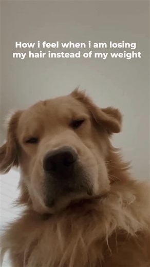 Relatable . . . @fitaffinityresults . . . #fitaffinity #getfit #fatburner #weightloss #fitnessjourney #fitaffinityresults #fatburnerforwomen | Fit Affinity