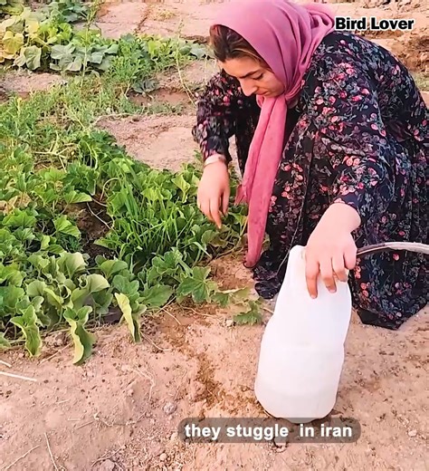 11K views · 153 reactions | The first woman hit the last wire, the second woman kicked out | Bird Lover | Facebook