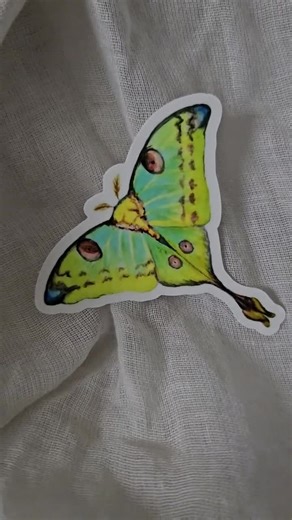 Comet Moth Sticker - Etsy
