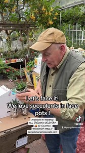 Narcissus “Poeticus “ Pheasants Eye Daffodils are planted from now in pots or beds . Fragrant tough and last forever. Planting time is from now, Available in webshop ALL IRELAND DELIVERY 🚚 32 Counties WEBSHOP https://pergolanurseries.ecwid.com Pergola Nurseries Garden Corner, Virginia,Co Cavan A gardeners oasis of quality plants Open Tuesday to Saturday 10.30-6 Open Sundays 2-6 #fypage #forplantslover #toughplants #foryourpage #foryougardeners #foryou #flower #flowersfor #fyoup #flowersforyou #