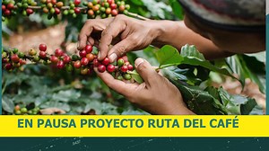 RESUMEN INFORMATIVO 1L 🔰 | Primera Línea