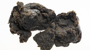 What is charas? Meaning explained