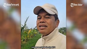 5.8K views · 39 reactions | KDM AKAN DIMAKZULKAN? Dampak Larangan...