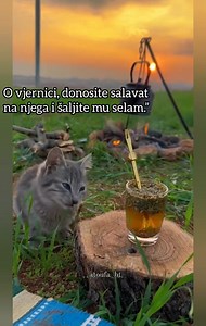 30K views · 906 reactions | Sjeti se salavata | N-UM.com | Facebook