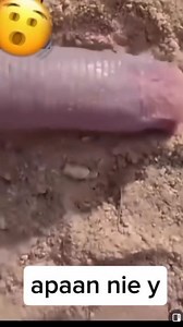 202K views · 1.3K reactions | Parang may kapareho to'來... #ForEntertainmentPurposesOnly #funnymoments #goodvibesonly #goodvibesreels #funnyreelsvideo #nocopyrightinfringementintended | Jeric Nilo | Facebook