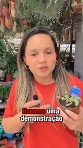 4K views · 34 reactions | A Nepenthes Alata, conhecida por sua beleza...