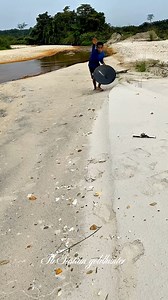 4.4M views · 31K reactions | wow!!! a pile of dry white sand, apparently contains hundreds to millions of gold dust particles stuck to it #goldhunting #lookingforgold #goldpanning #goldmining #goldprospecting #goldprospector #goldhunter #goldgrains #golddust #goldgrains | Gustian Goldhunter | Facebook