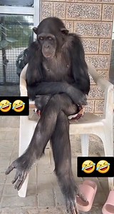 Im women, waiting for my children)) | Ellen Kelly | Facebook