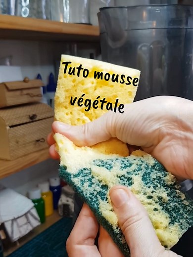 Tuto rapide pour créer de la mousse végétale
