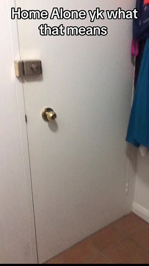 The stoned frog on TikTok